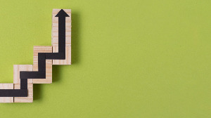 Strategies to Support Languages Equality Through Literature